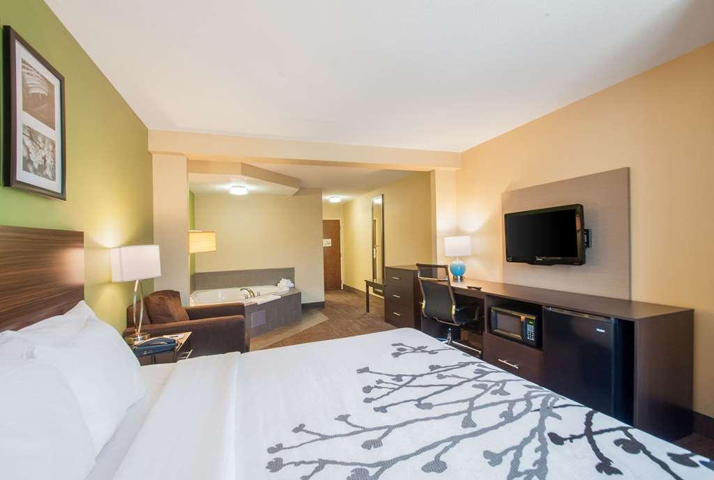 Sleep Inn & Suites Dover Rum bild