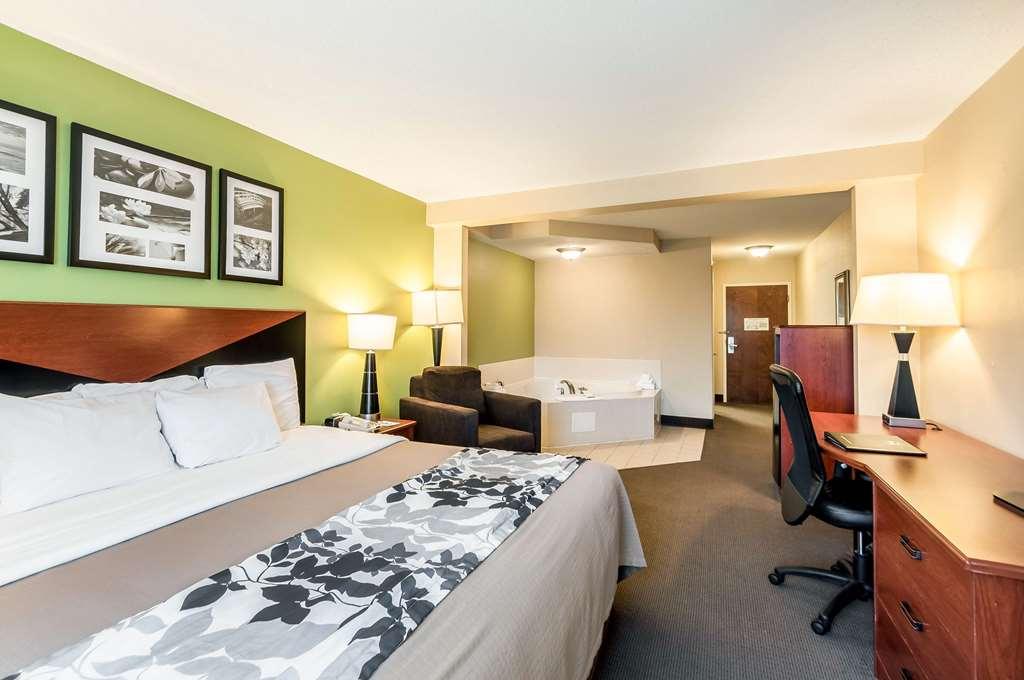Sleep Inn & Suites Dover Rum bild