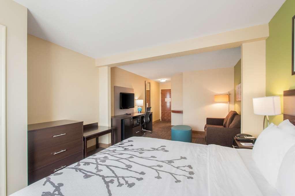 Sleep Inn & Suites Dover Rum bild
